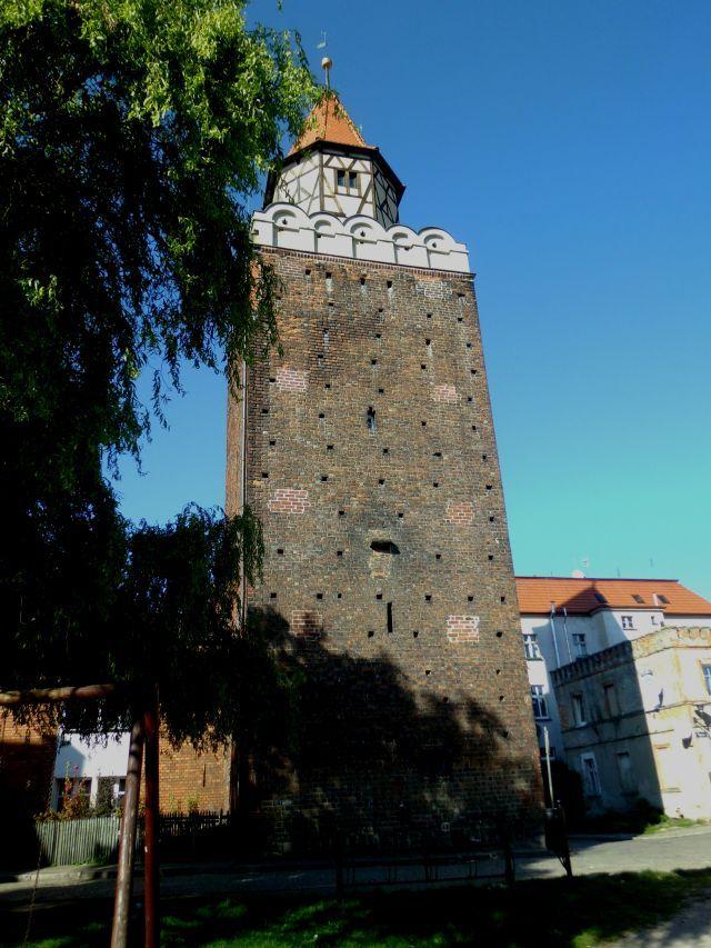 (szerokość: 640 / wysokość: 853)
