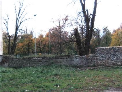 (szerokość: 423 / wysokość: 319)