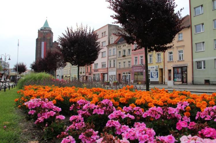 (szerokość: 750 / wysokość: 499)