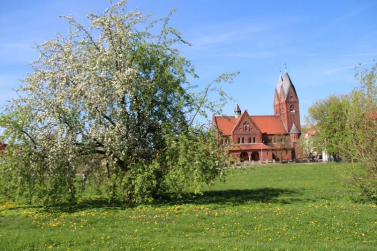 (szerokość: 750 / wysokość: 499)